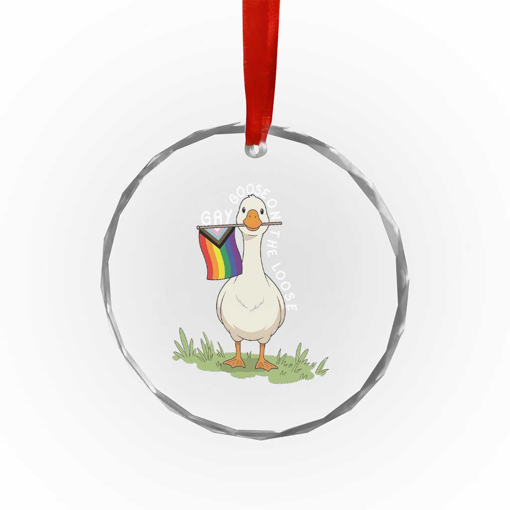 Silly Goose LGBTQ Rainbow Crystal Glass Ornament Funny Gay Pride Month