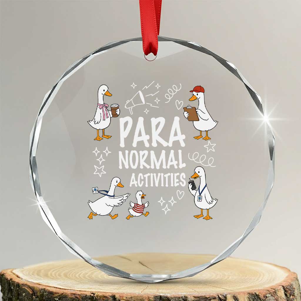 Silly Goose Para Normal Activities Crystal Glass Ornament Funny SPED Teachers Aide Para Normal Activities