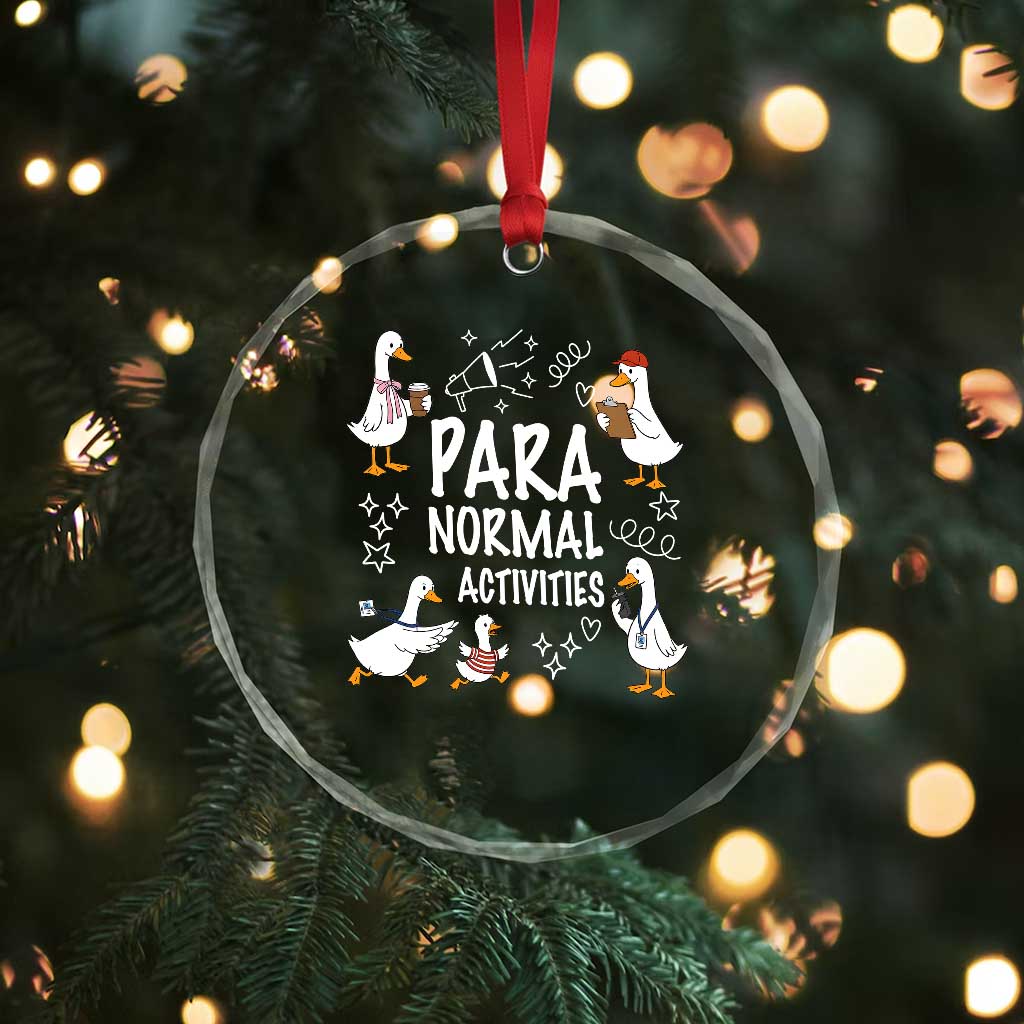 Silly Goose Para Normal Activities Crystal Glass Ornament Funny SPED Teachers Aide Para Normal Activities