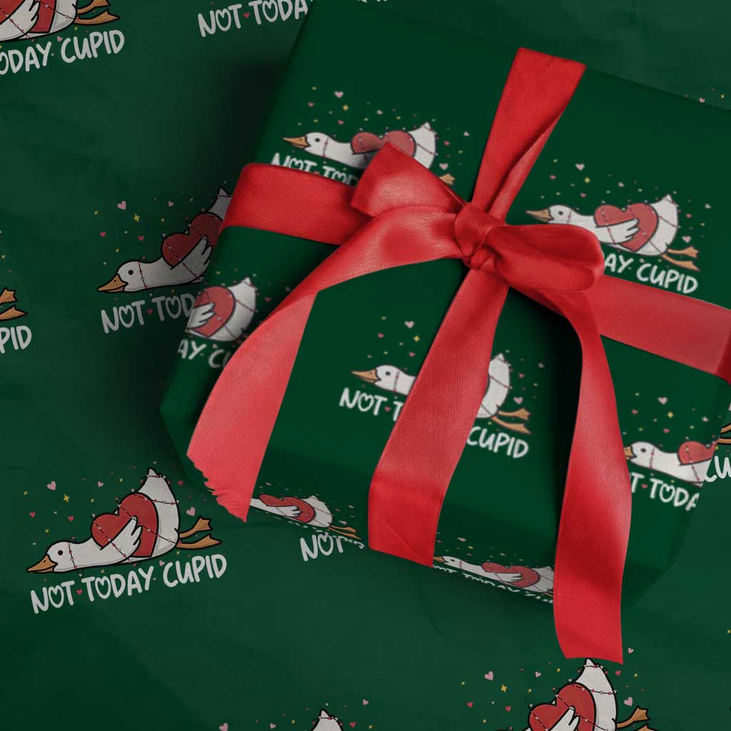 Silly Goose Valentine Wrapping Paper Roll Not Today Cupid - Wonder Print Shop