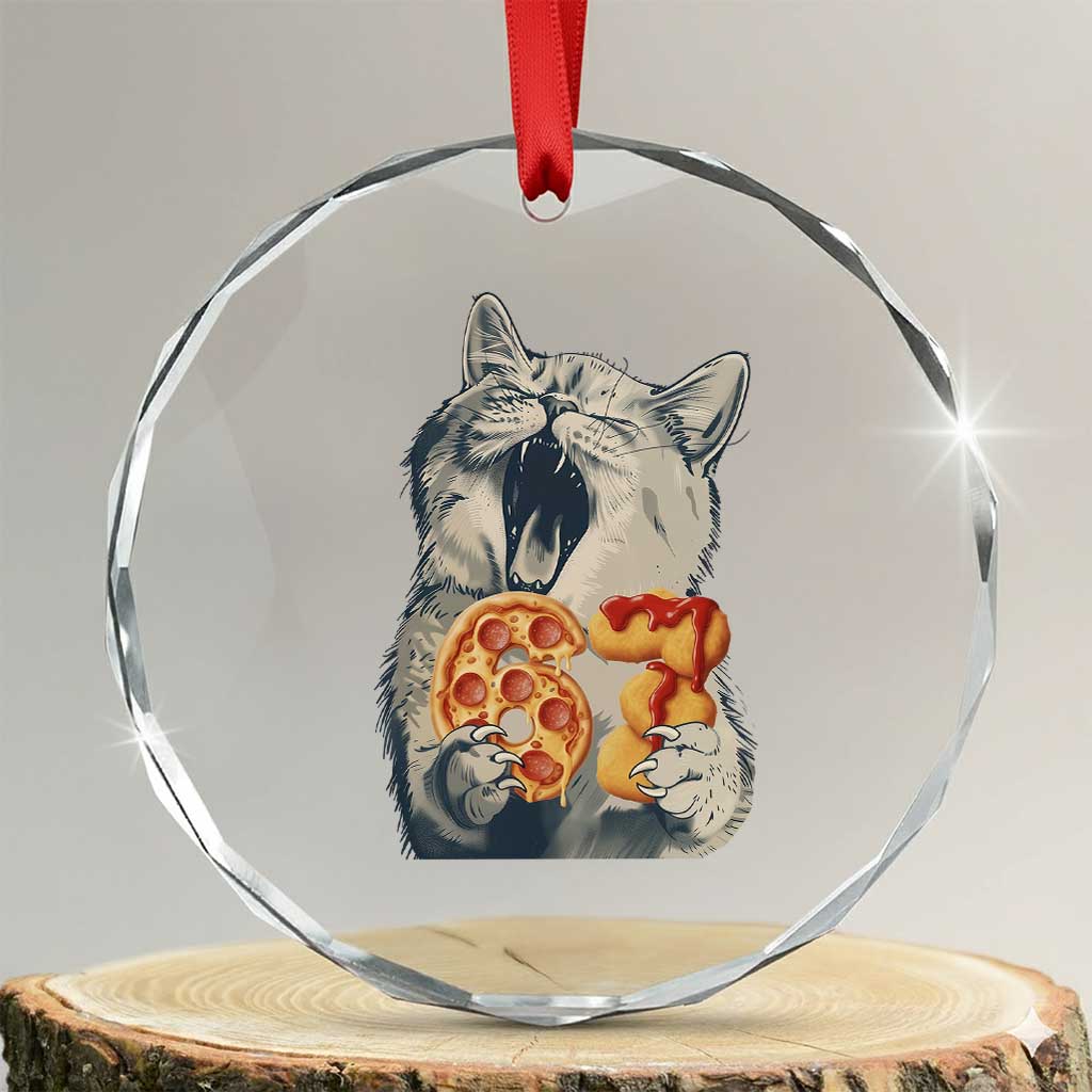 Six Seven Meme Cat 67 Pizza Nugget Crystal Glass Ornament Funny Gen Alpha 67 Trend Gift - Wonder Print Shop