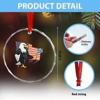Solidarity With Minneapolis Crystal Glass Ornament American Eagle No Ice Please Support