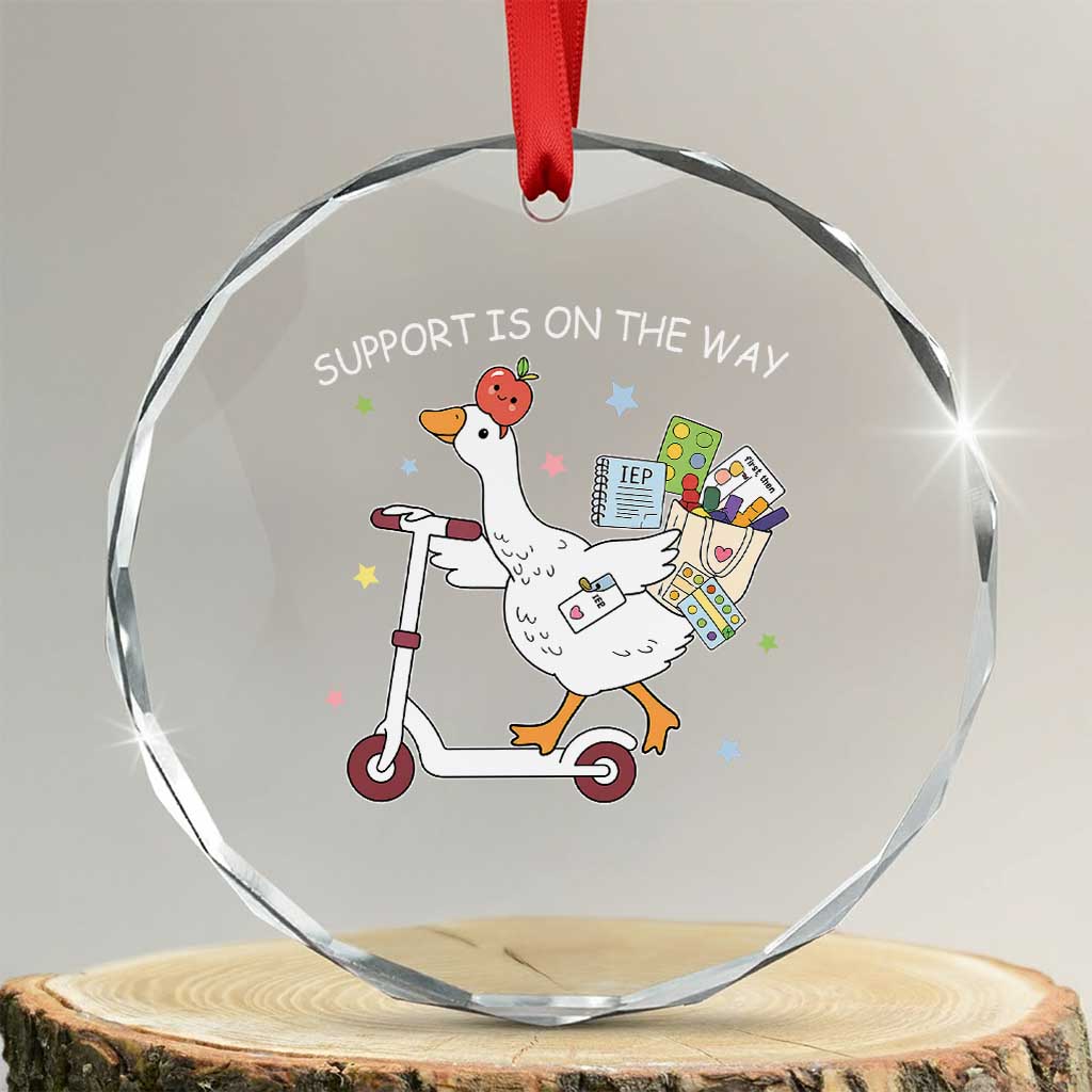 Special Education SPED Teacher Goose Scooter Crystal Glass Ornament Support Is On The Way