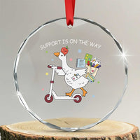 Special Education SPED Teacher Goose Scooter Crystal Glass Ornament Support Is On The Way