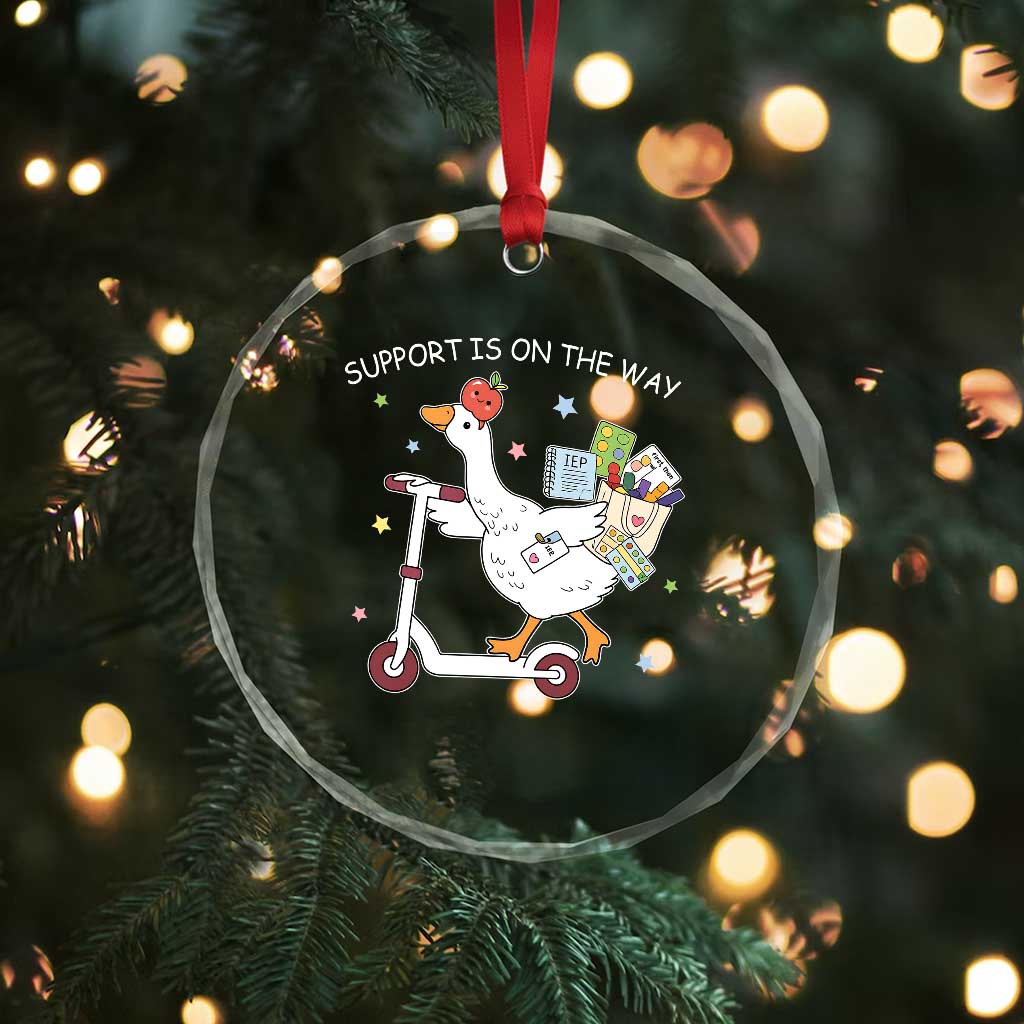 Special Education SPED Teacher Goose Scooter Crystal Glass Ornament Support Is On The Way