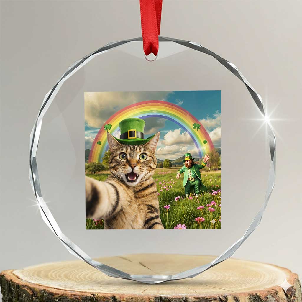 St Patricks Day Cat Selfie with Leprechaun Crystal Glass Ornament