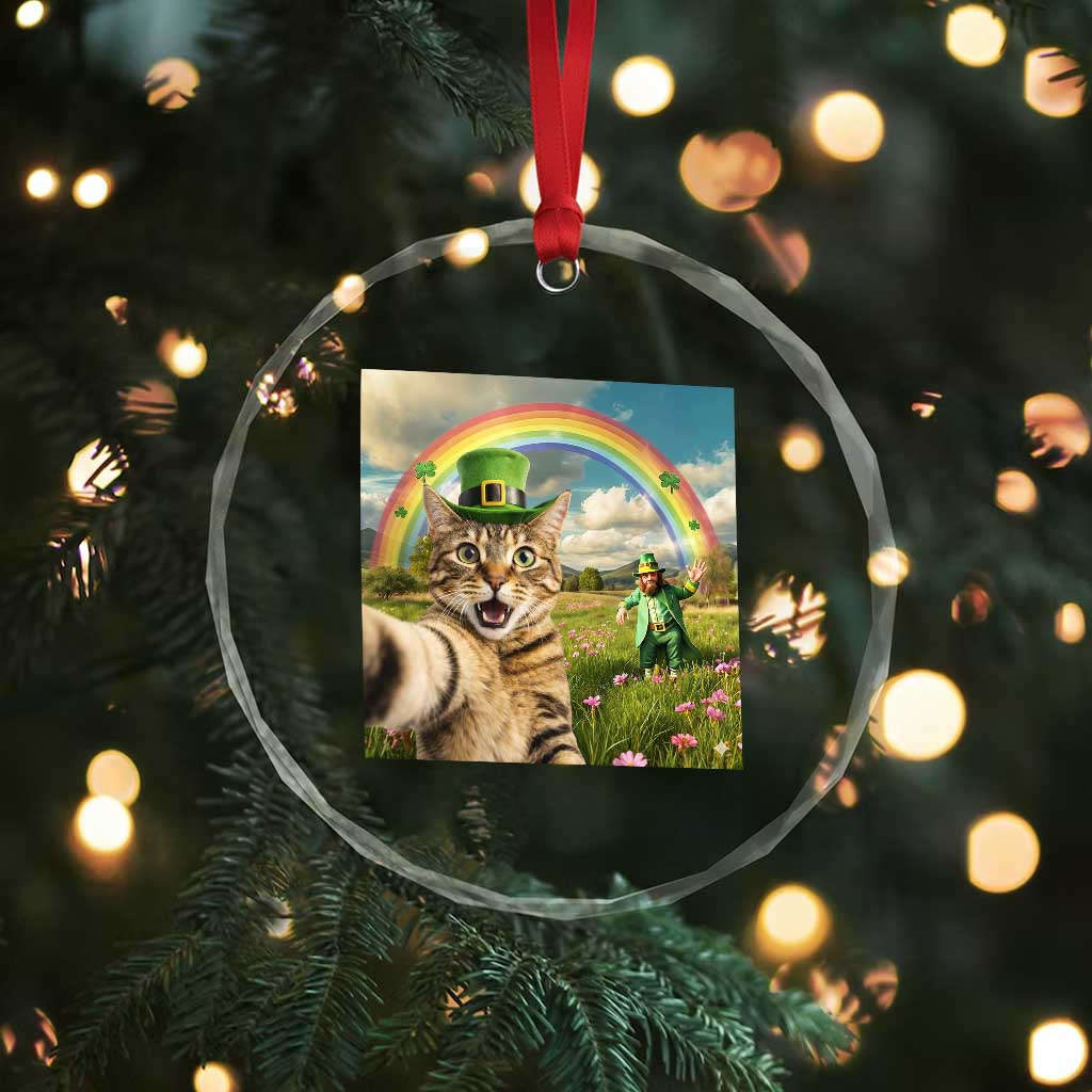 St Patricks Day Cat Selfie with Leprechaun Crystal Glass Ornament
