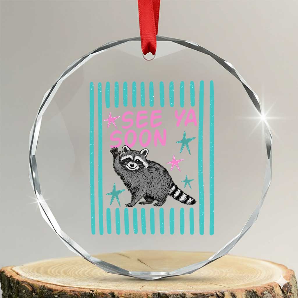 Striped Funny See Ya Soon Racoon Crystal Glass Ornament Last Day Of School Teacher