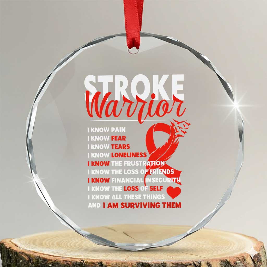 Stroke Warrior Crystal Glass Ornament I know Pain Fear Feather Red Ribbon