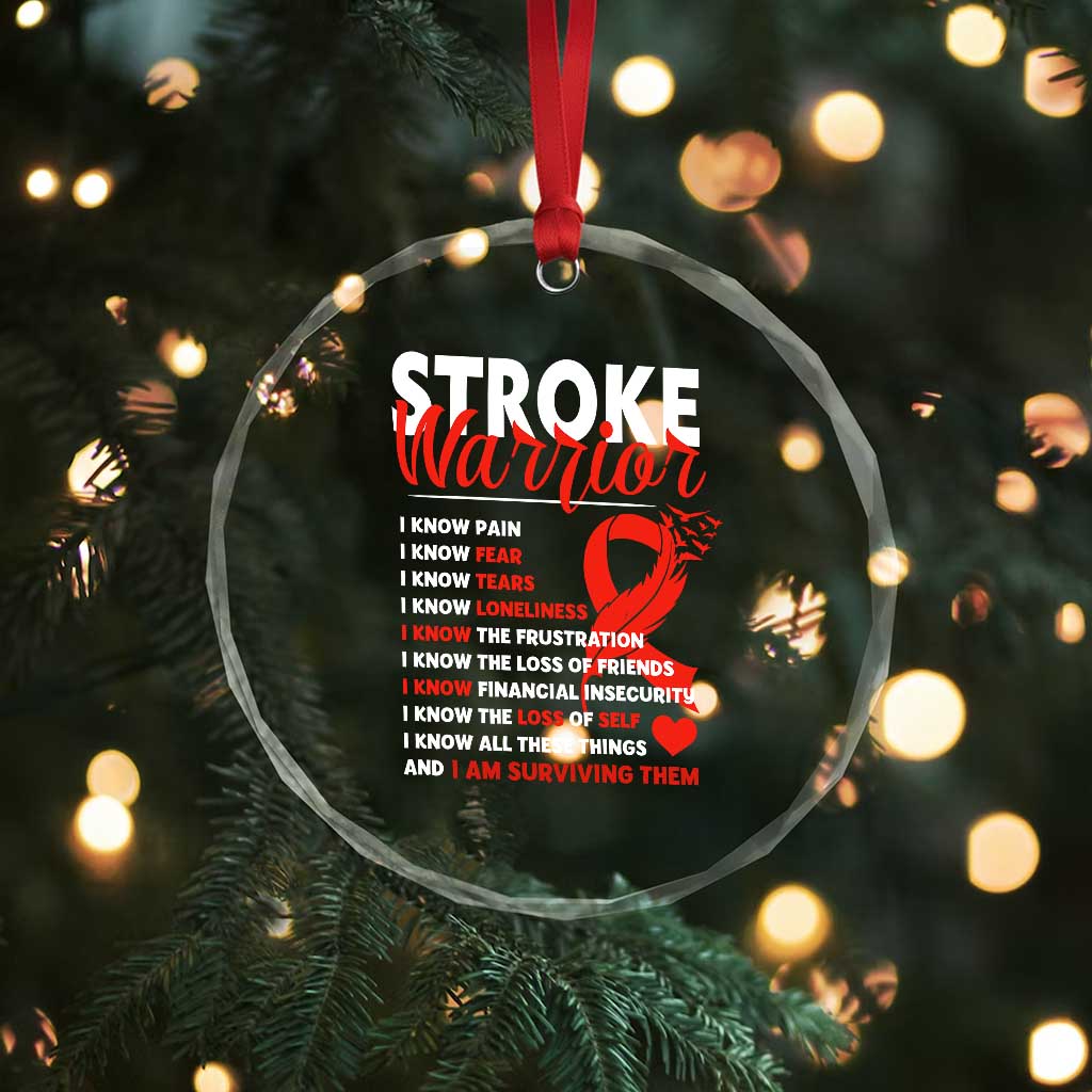 Stroke Warrior Crystal Glass Ornament I know Pain Fear Feather Red Ribbon