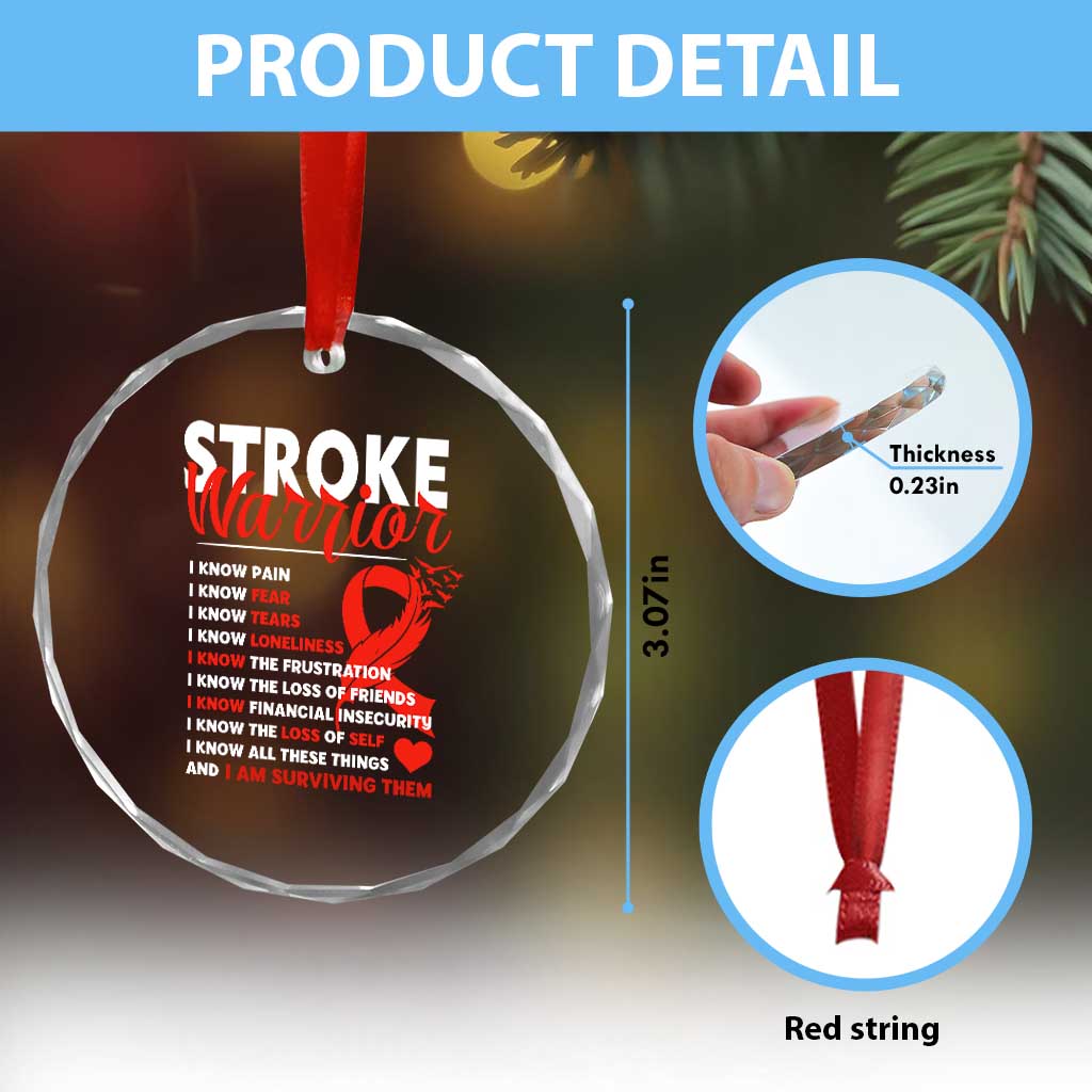 Stroke Warrior Crystal Glass Ornament I know Pain Fear Feather Red Ribbon