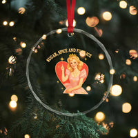 Sugar Spice and F Ice Retro Fairy Crystal Glass Ornament Feminist Against Ice Protest Political Resistance