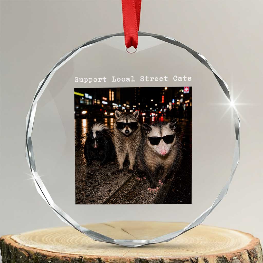 Support Local Street Cats Crystal Glass Ornament Funny Raccoon Skunk Possum Animal Meme