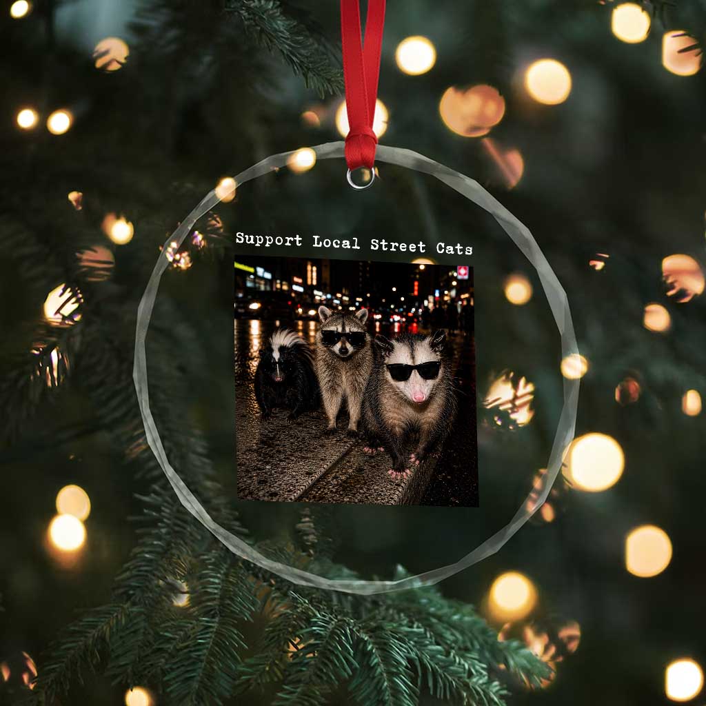 Support Local Street Cats Crystal Glass Ornament Funny Raccoon Skunk Possum Animal Meme