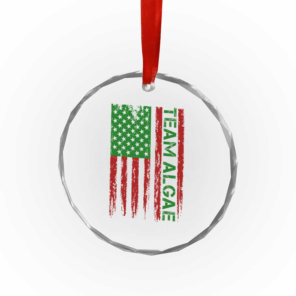 Team Algae Crystal Glass Ornament Funny Make Algae Great Again American Flag Political Meme