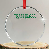 Team Algae Crystal Glass Ornament Political Satire Lincoln Reflecting Pool Midterm