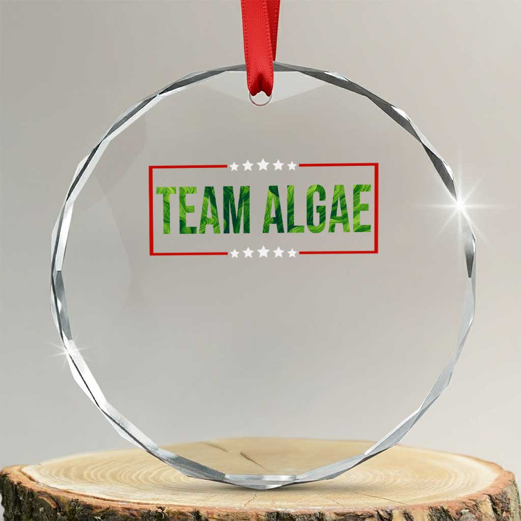 Team Algae Satire Crystal Glass Ornament Funny Lincoln Memorial Reflecting Pool Meme Parody