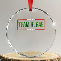 Team Algae Satire Crystal Glass Ornament Funny Lincoln Memorial Reflecting Pool Meme Parody