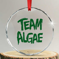 Team Algae Slime Dripping Style Graphic Crystal Glass Ornament Viral Lincoln Memorial Reflecting Pool Swamp Meme
