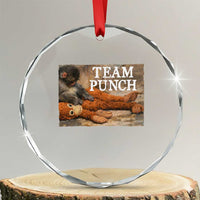 Team Punch Baby Monkey Plush Hugging Meme Crystal Glass Ornament