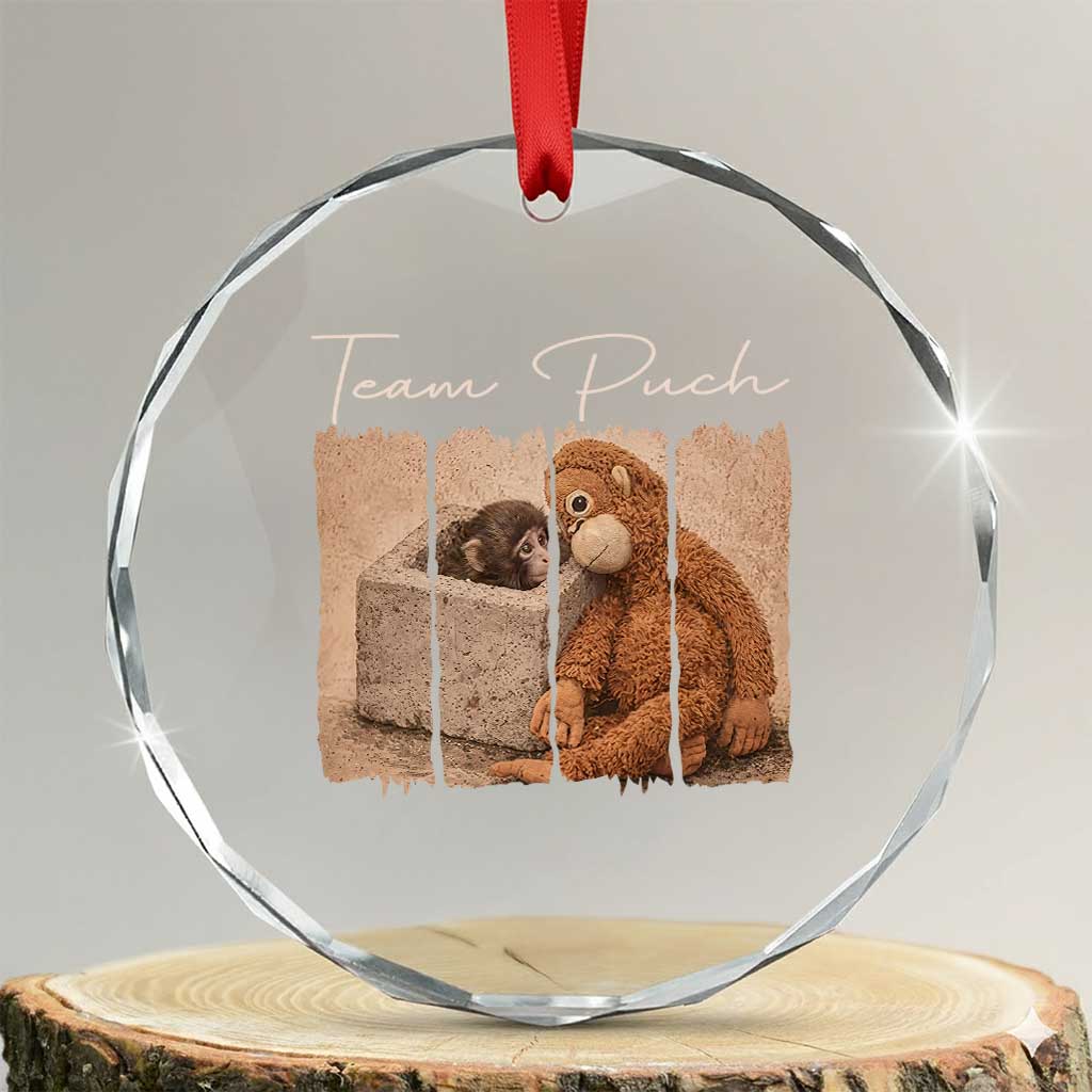 Team Punch Crystal Glass Ornament Baby Monkey And Plush Toy Viral