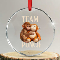 Team Punch Cute Baby Monkey Hugging Plush Toy Graphic Crystal Glass Ornament