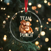 Team Punch Cute Baby Monkey Hugging Plush Toy Graphic Crystal Glass Ornament