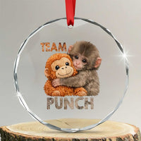 Team Punch Viral Baby Monkey Crystal Glass Ornament Cute Monkey Hugging Plush Toy Internet Trend Gift