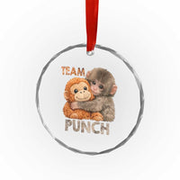 Team Punch Viral Baby Monkey Crystal Glass Ornament Cute Monkey Hugging Plush Toy Internet Trend Gift