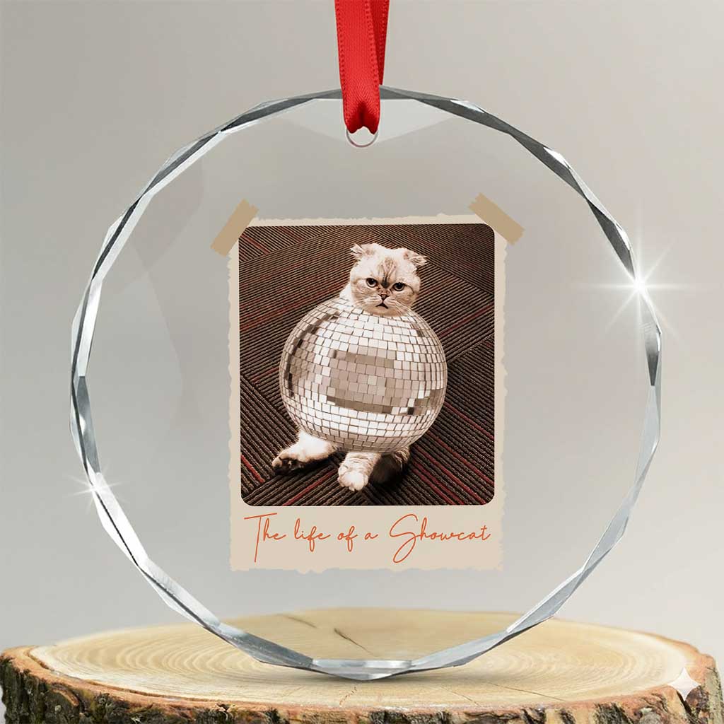 The Life Of A Showcat Crystal Glass Ornament Funny Vintage Photo Cat Era TS10