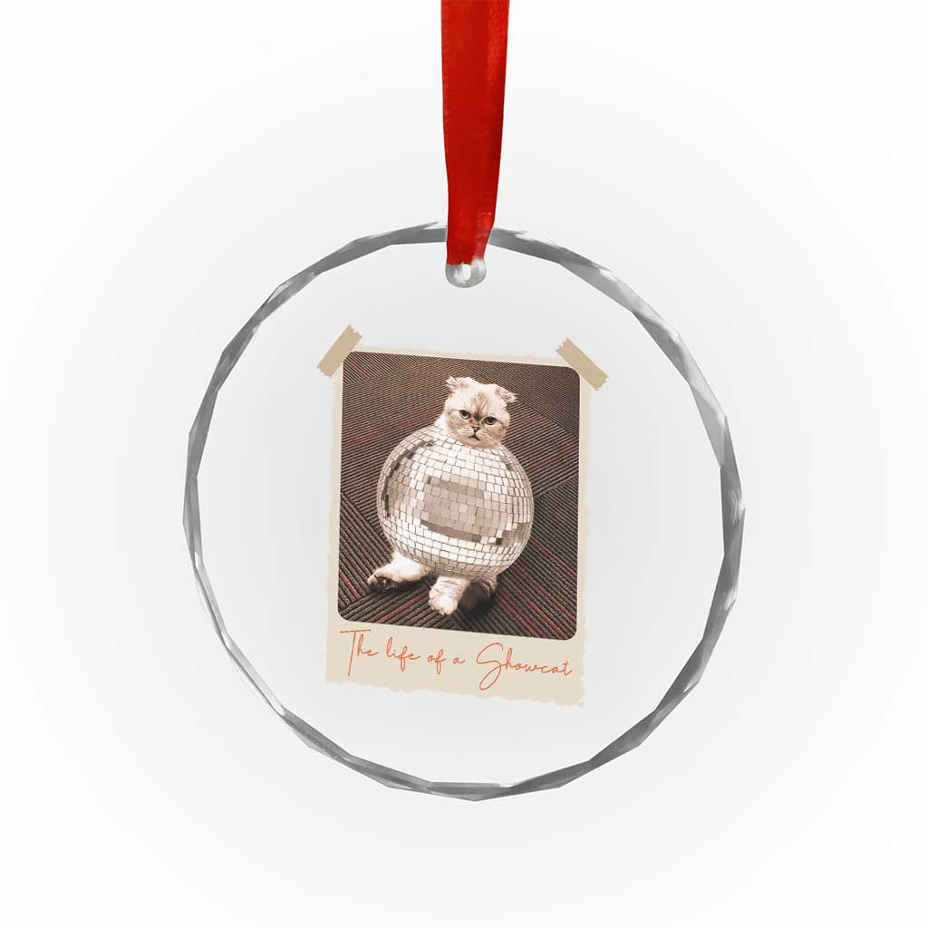 The Life Of A Showcat Crystal Glass Ornament Funny Vintage Photo Cat Era TS10