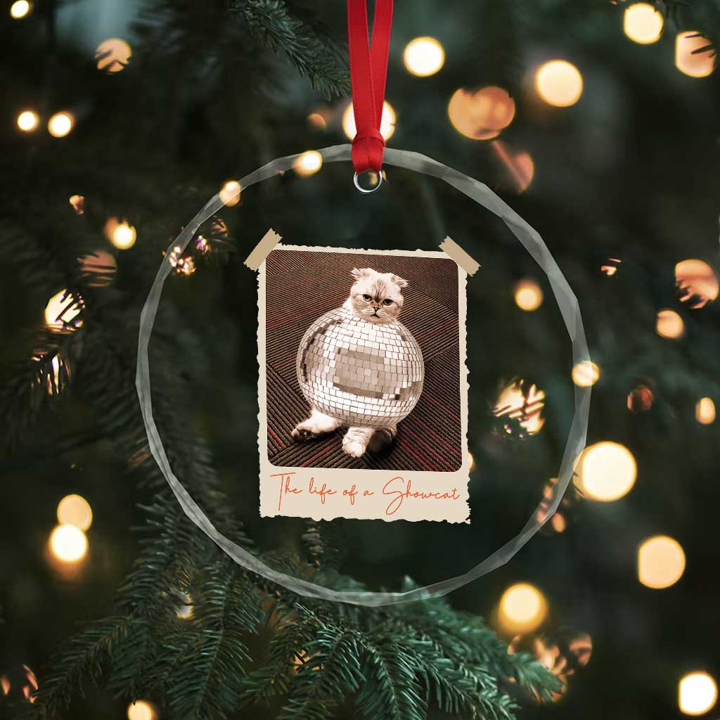 The Life Of A Showcat Crystal Glass Ornament Funny Vintage Photo Cat Era TS10