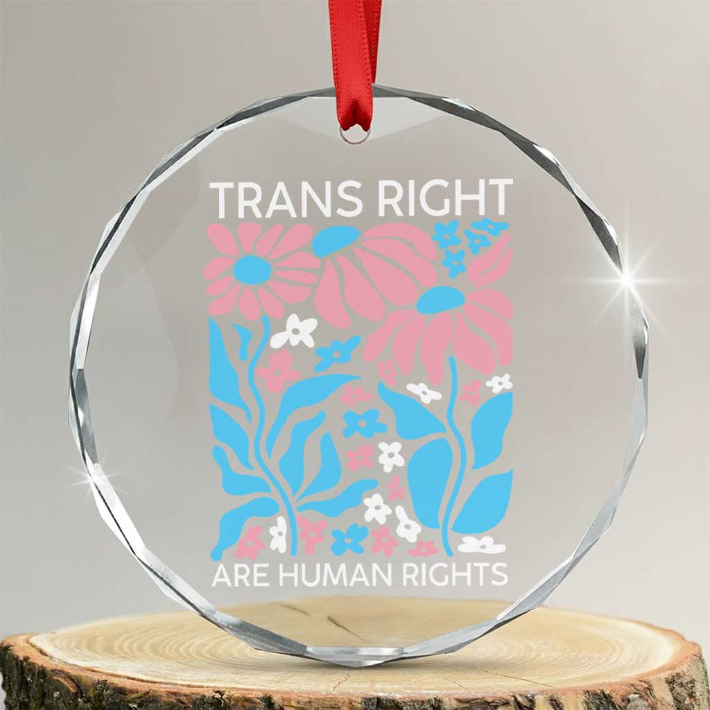 Trans Rights Crystal Glass Ornament Protect Trans Social Justice LGBT - Wonder Print Shop