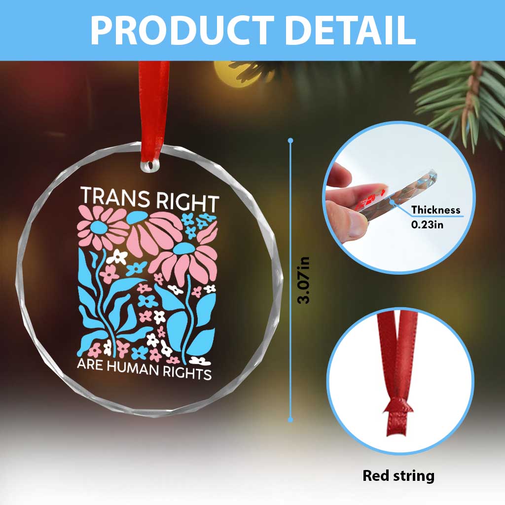 Trans Rights Crystal Glass Ornament Protect Trans Social Justice LGBT - Wonder Print Shop