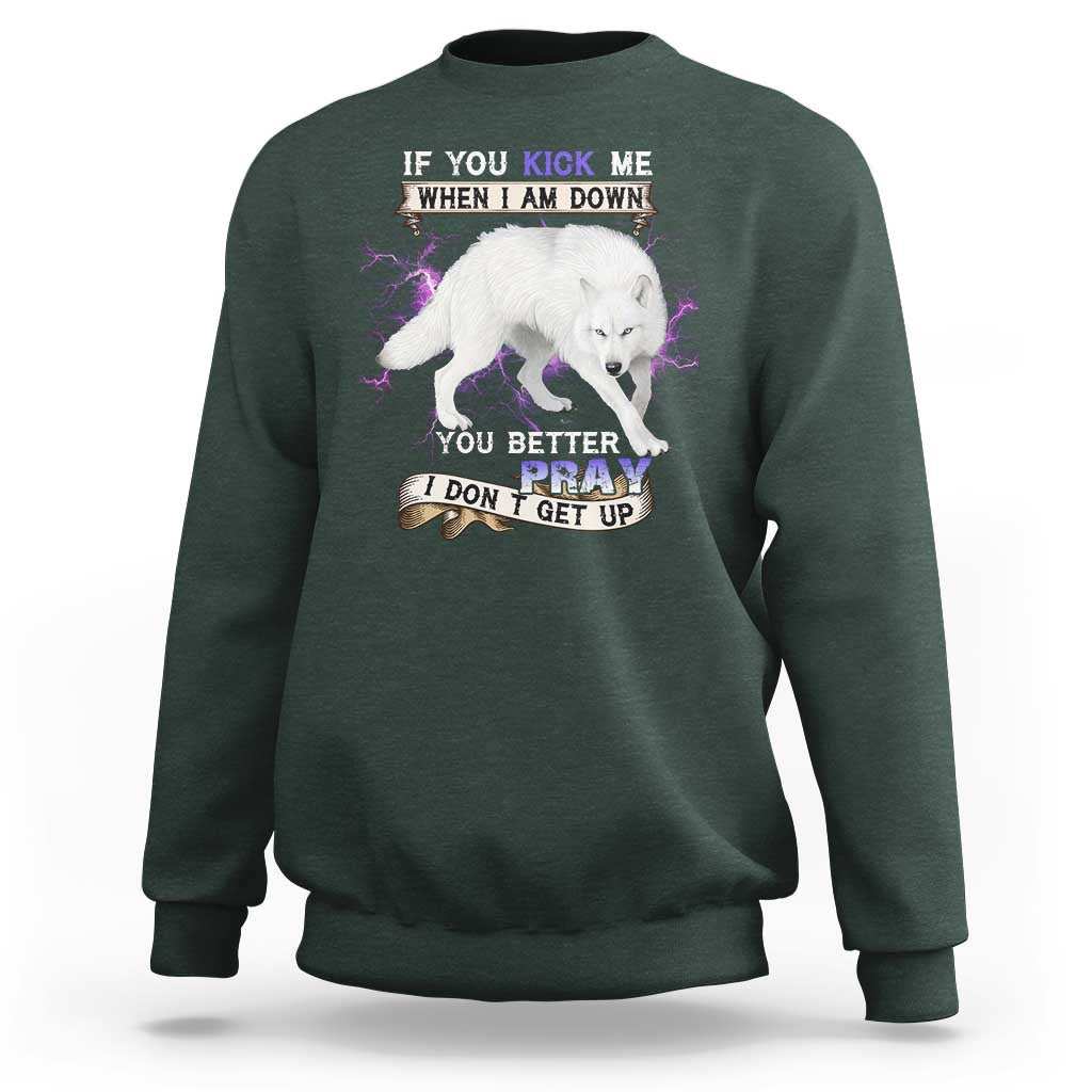If You Kick Me When I'm Down, You Better Hope I Dont Get Up Sweatshirt Wolf Spirit & Resilience - Wonder Print Shop