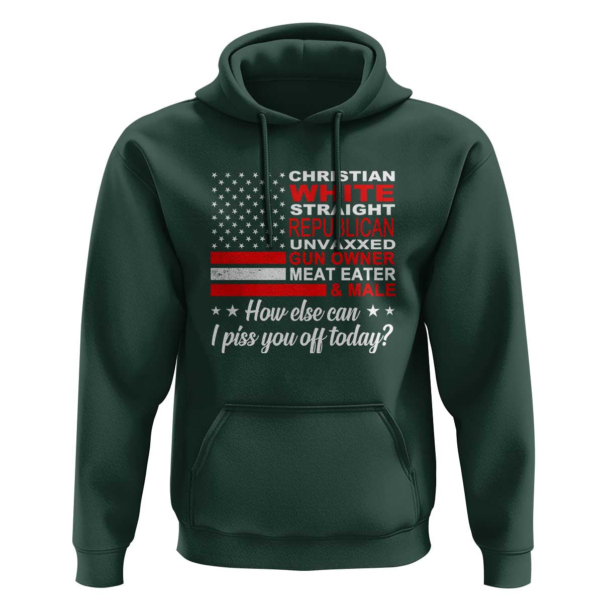 Bold Conservative Statement Hoodie How Else Can I Piss You Off Today