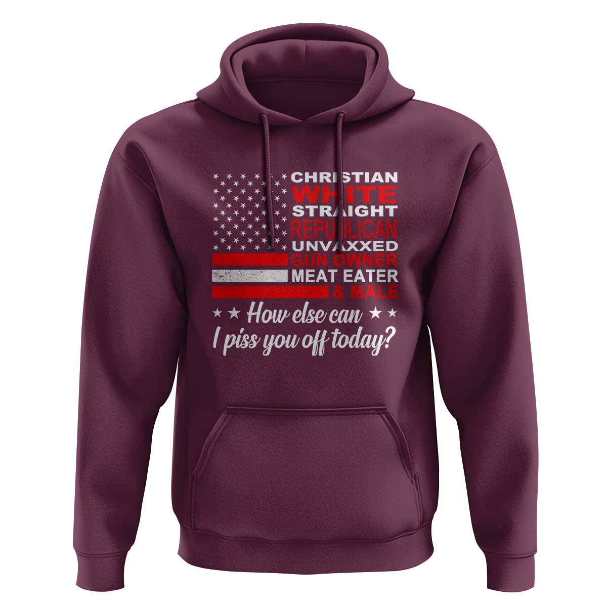 Bold Conservative Statement Hoodie How Else Can I Piss You Off Today