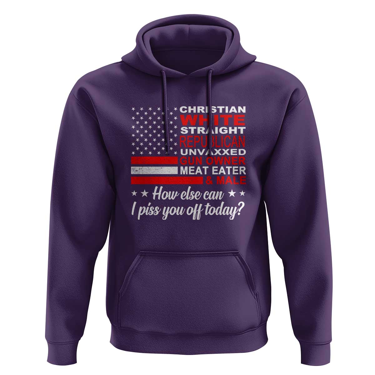 Bold Conservative Statement Hoodie How Else Can I Piss You Off Today