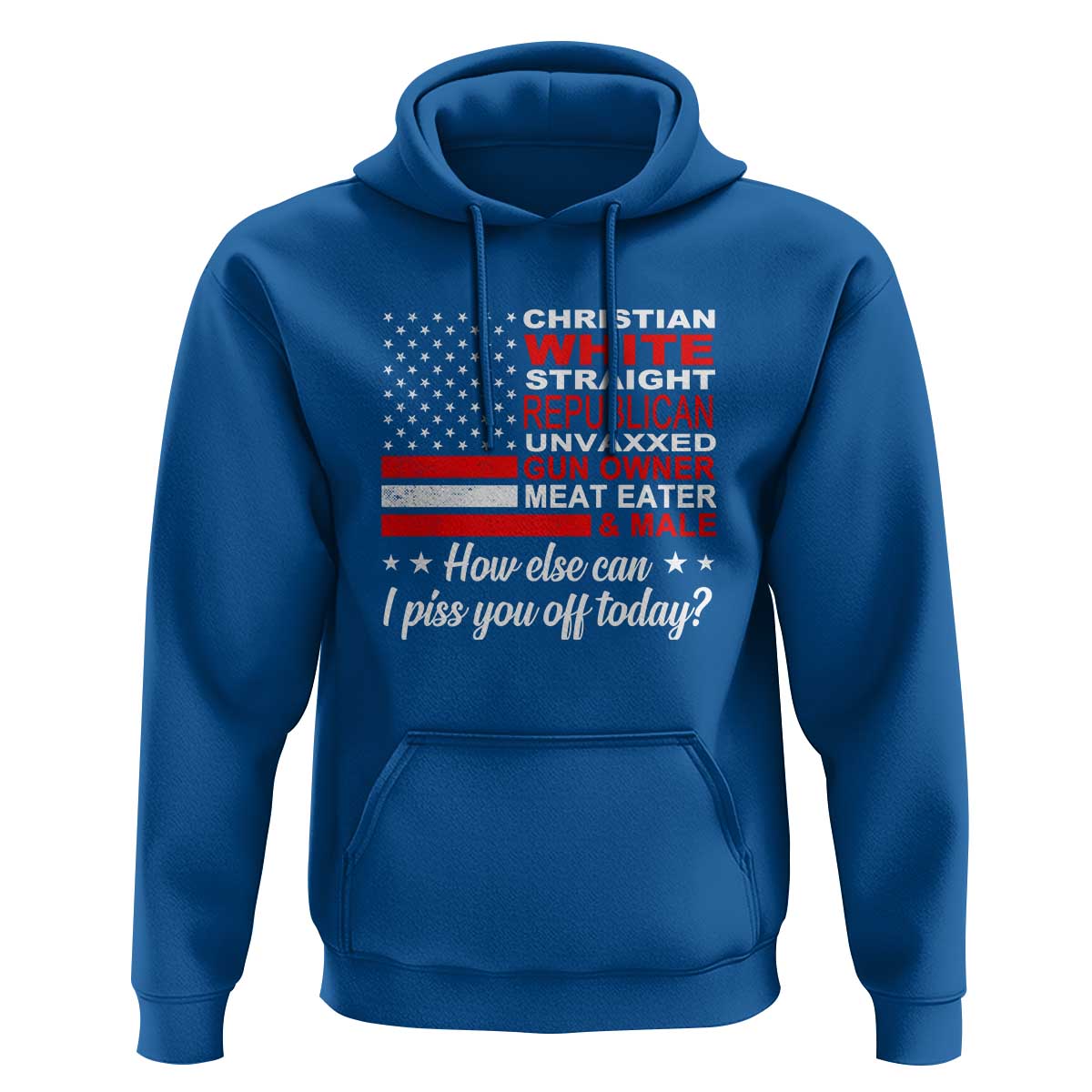 Bold Conservative Statement Hoodie How Else Can I Piss You Off Today
