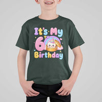 Its My 6th Birthday Kawaii Glitter Dumpling Graphic T Shirt For Kid Cute 6 Years Old Rainbow Bday Girl Party