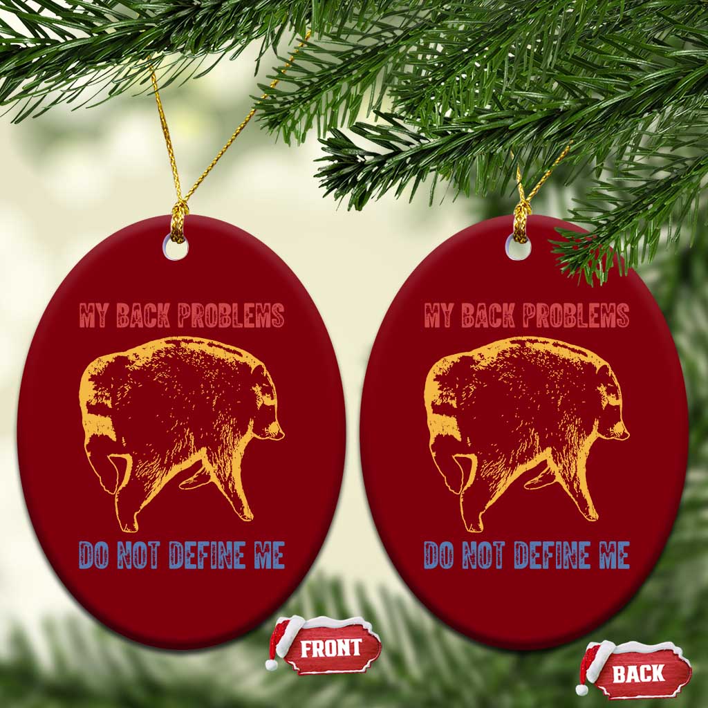 Funny Jimothy Meme Back Pain Humor Ceramic Ornament My Back Problems Do Not Define Me Viral Seattle Raccoon