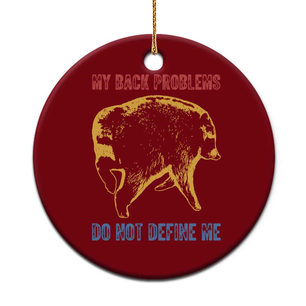 Funny Jimothy Meme Back Pain Humor Ceramic Ornament My Back Problems Do Not Define Me Viral Seattle Raccoon