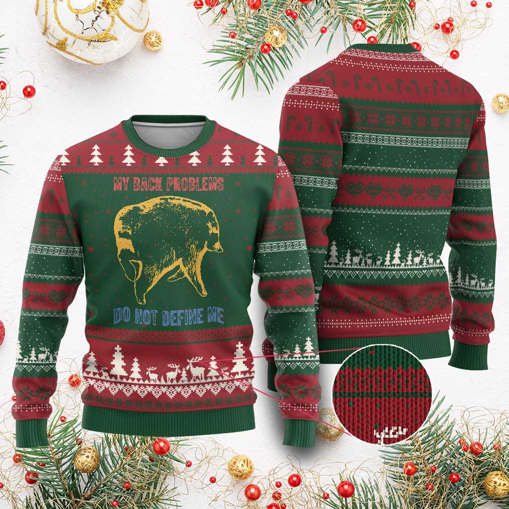 Funny Jimothy Meme Back Pain Humor Ugly Christmas Sweater My Back Problems Do Not Define Me Viral Seattle Raccoon