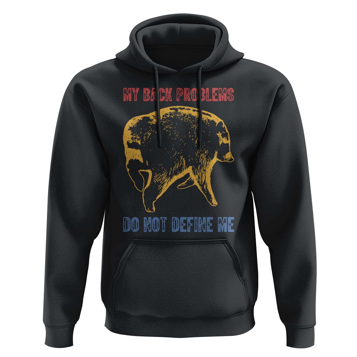 Funny Jimothy Meme Back Pain Humor Hoodie My Back Problems Do Not Define Me Viral Seattle Raccoon