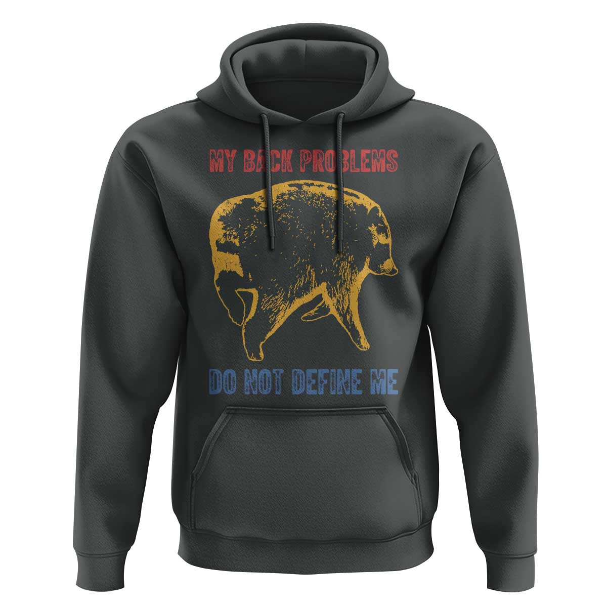 Funny Jimothy Meme Back Pain Humor Hoodie My Back Problems Do Not Define Me Viral Seattle Raccoon