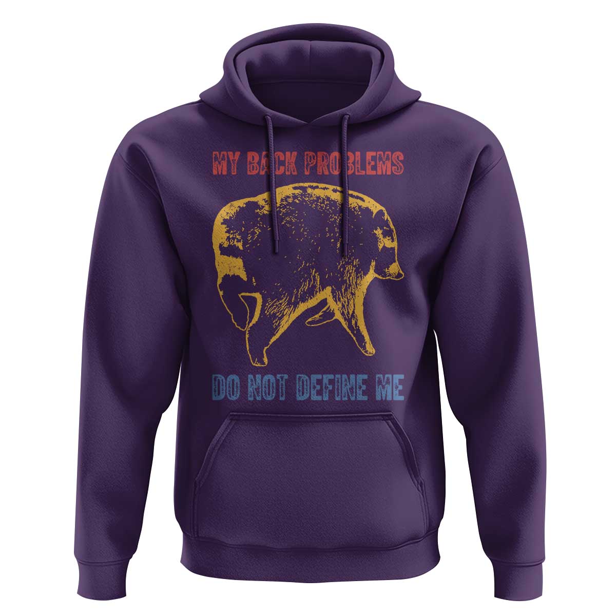 Funny Jimothy Meme Back Pain Humor Hoodie My Back Problems Do Not Define Me Viral Seattle Raccoon