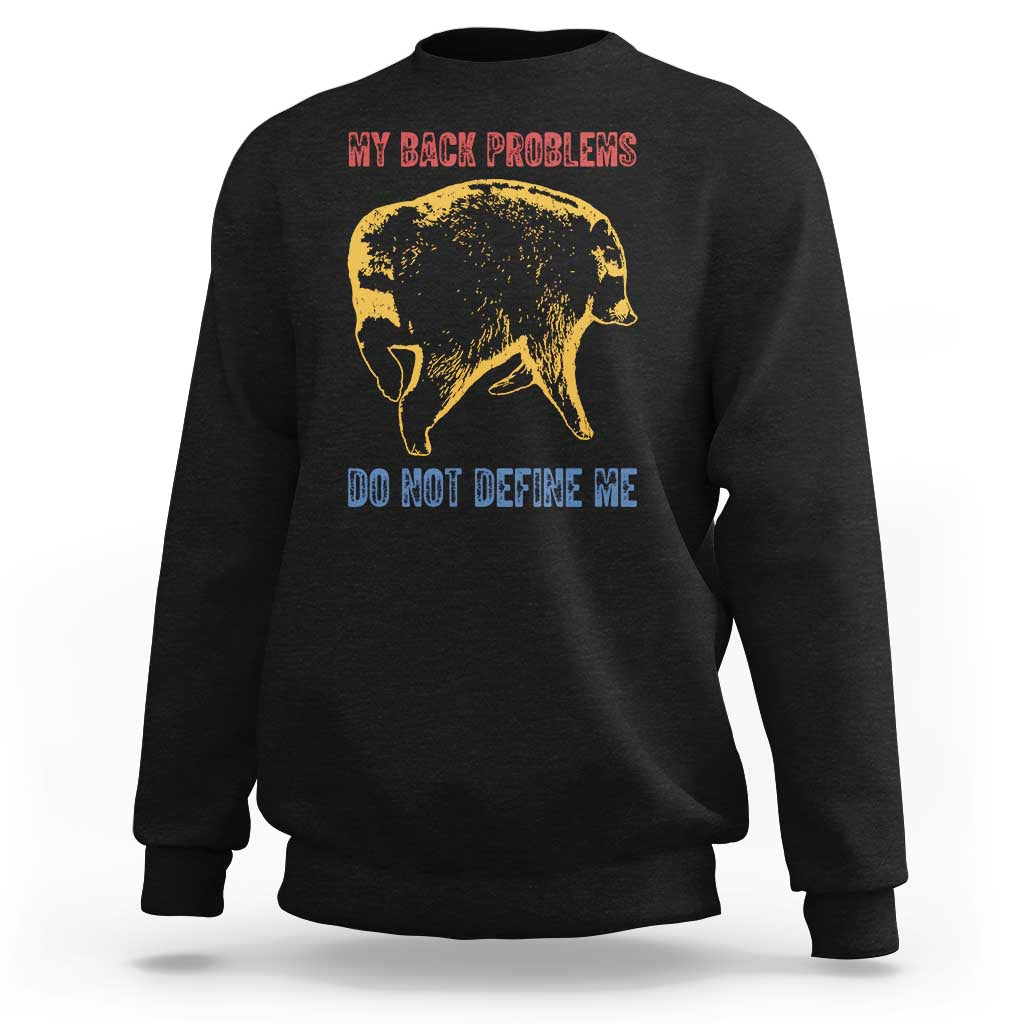 Funny Jimothy Meme Back Pain Humor Sweatshirt My Back Problems Do Not Define Me Viral Seattle Raccoon