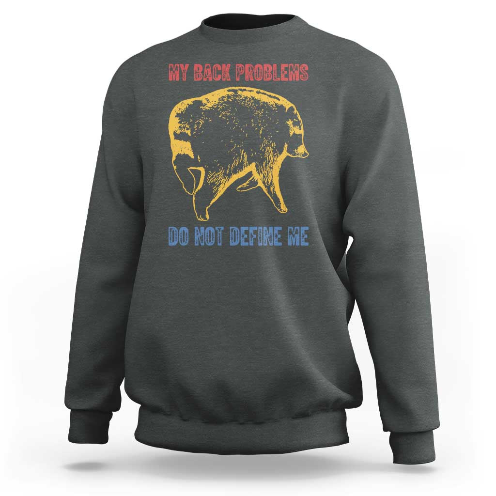 Funny Jimothy Meme Back Pain Humor Sweatshirt My Back Problems Do Not Define Me Viral Seattle Raccoon