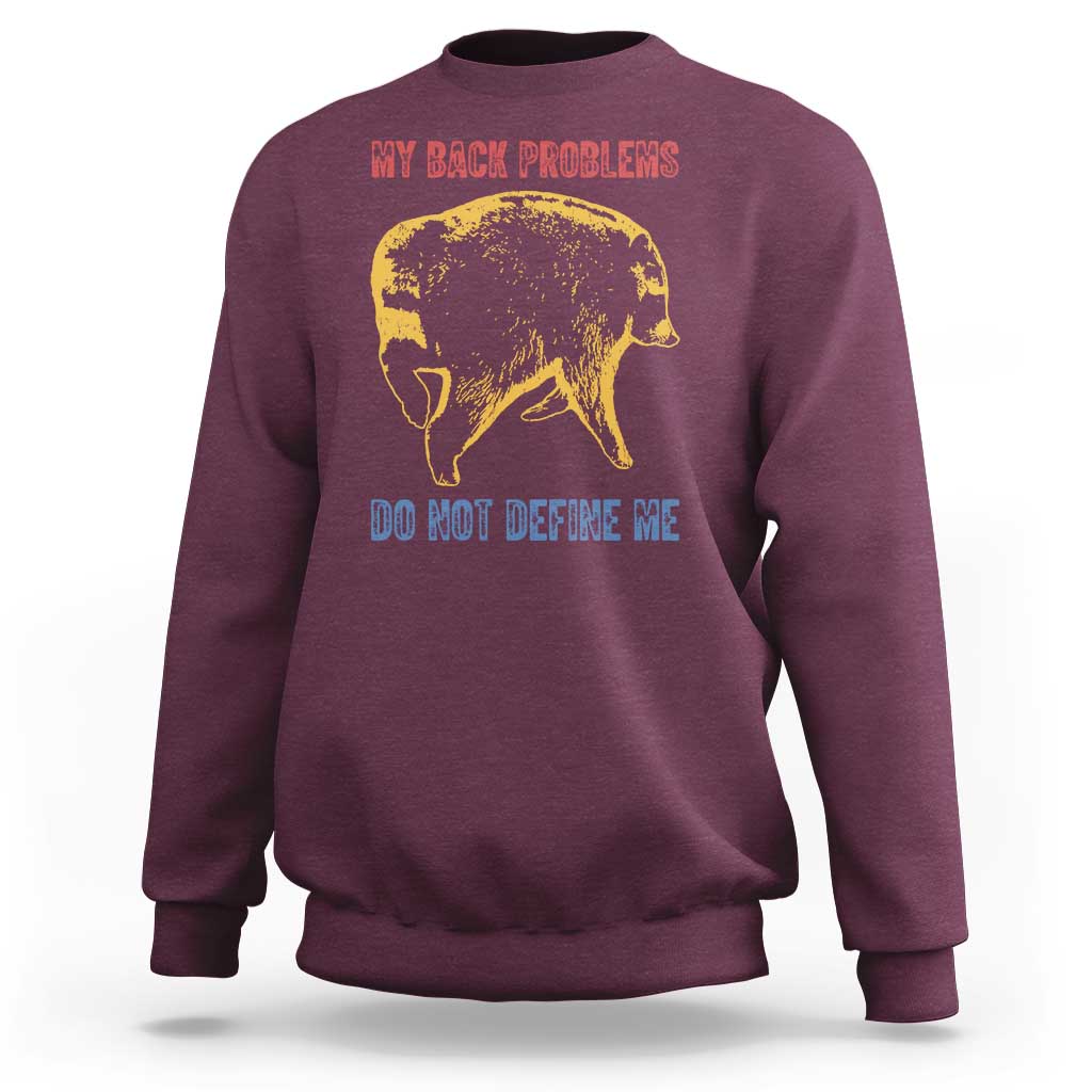 Funny Jimothy Meme Back Pain Humor Sweatshirt My Back Problems Do Not Define Me Viral Seattle Raccoon