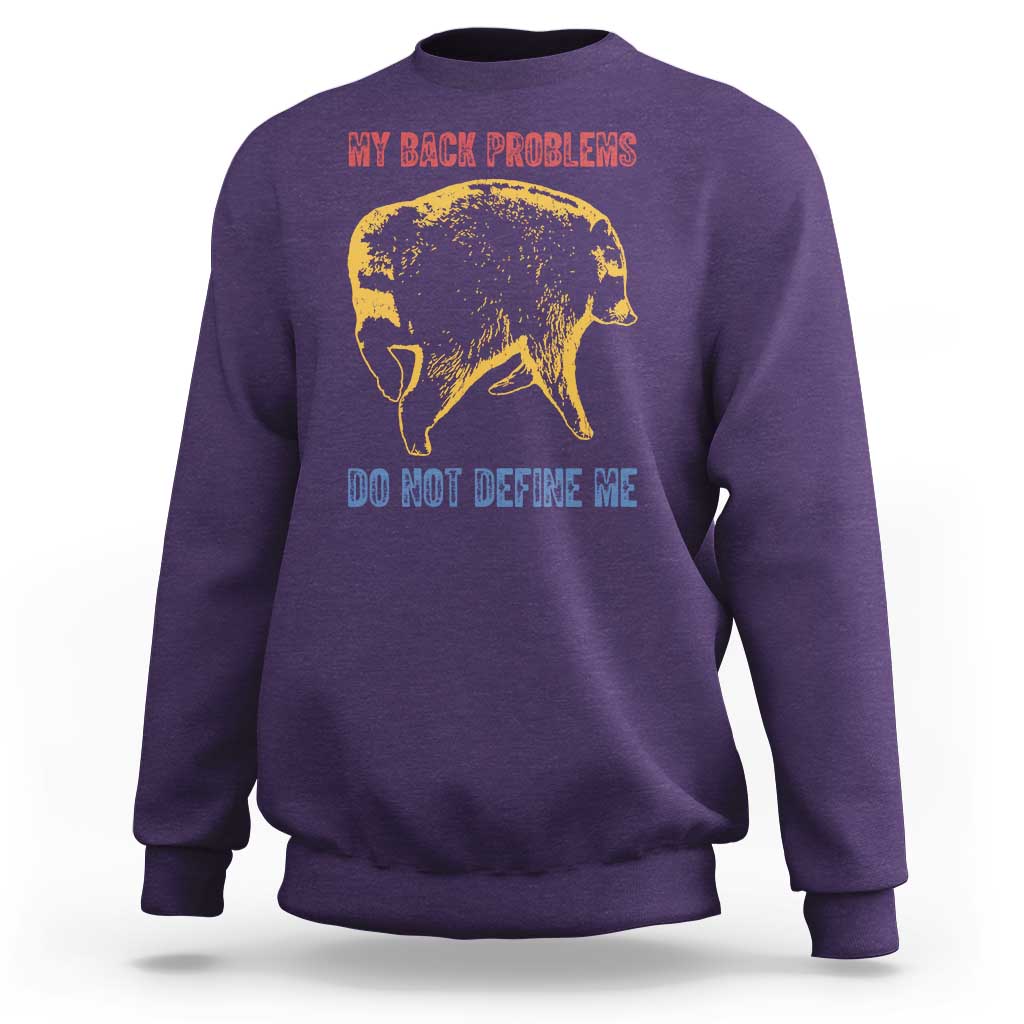 Funny Jimothy Meme Back Pain Humor Sweatshirt My Back Problems Do Not Define Me Viral Seattle Raccoon